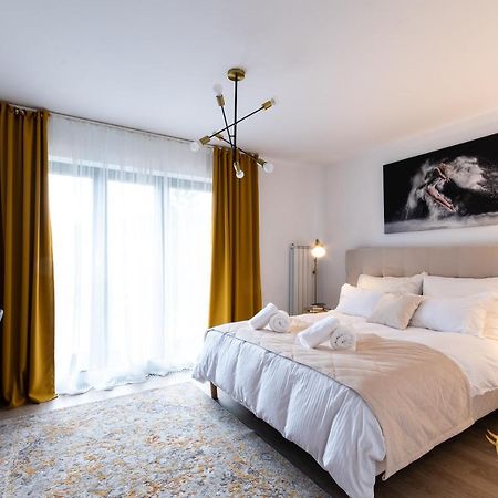 Quibio Apart Terrace Braşov Eksteriør bilde
