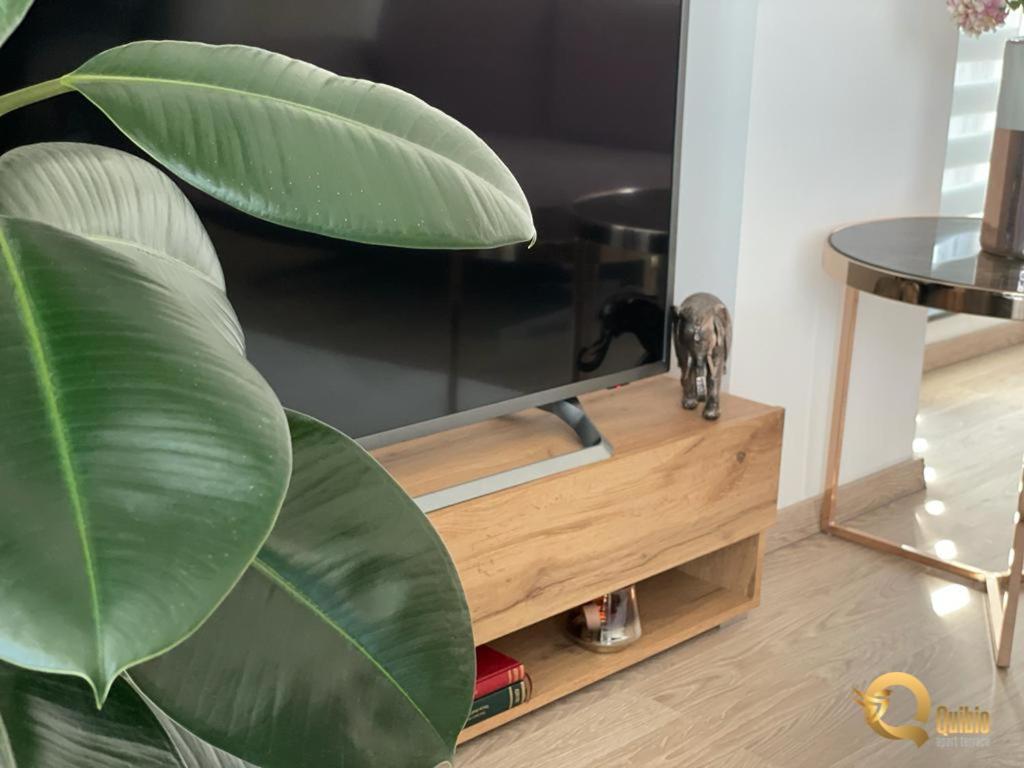 Quibio Apart Terrace Braşov Eksteriør bilde