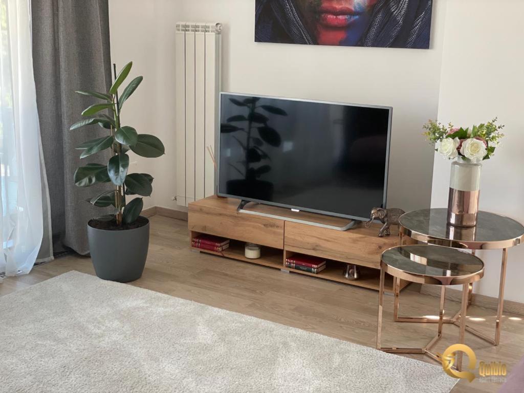 Quibio Apart Terrace Braşov Eksteriør bilde